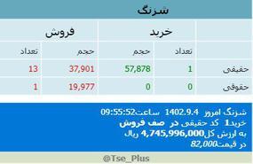 شزنگ،پیدا و پنهان بازار سرمایه