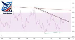 خریدخگستر،Market Analyzer (Amir Haghparast)